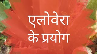 एलोवेरा कौन सी बीमारी में काम करता है// एलोवेरा के क्या फायदे होते हैं# एलोवेरा# घृतकुमारी#short