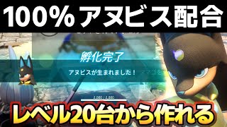 【パルワールド】初心者でもアヌビスをタマゴ配合で100%作る方法。レヴィドラ