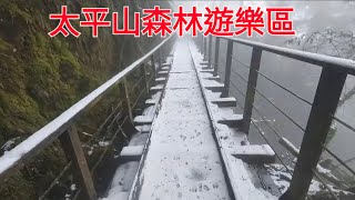 宜蘭太平山見晴懷古步道一日遊~舅媽相隔20年再次看見雪~鳩之澤溫泉