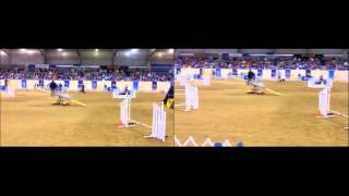 Vojtech vs Vojtech - AKC National Agility Championship - 12\