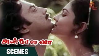 Anbe Odi Vaa Tamil Movie Scenes | Mohan and Urvashi Love Scene | Mohan | Ilayaraja | Thamizh Padam
