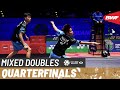 YONEX All England Open 2024 | Feng/Huang (CHN) [4] vs. Tang/Tse (HKG) [8] | QF