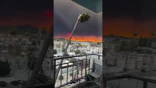 Los Angeles fire updates. Fire in Los Angeles fire in America