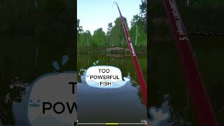 Fishing rod is broken, again, Russian Fishing 4