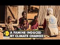 Madagascar battles hunger crisis, children suffer from acute malnutrition | WION Climate Tracker