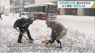 青森県の太平洋側で思わぬ「大雪」に市民びっくり　48時間降雪量がむつ市で54cm　八戸市では2月の観測史上最多の47cm　小中学校で臨時休校も