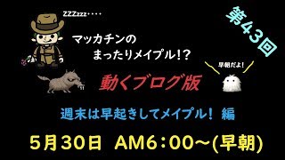 【メイプルストーリー】マッカチンのまったりメイプル！？　動くブログ版　第４３回