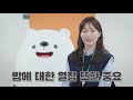 세븐일레븐 💖푸드팀 🍙밥소믈리에 하영md와 함께 🍱도시락 밥맛 잡으러 gogo 🏃‍♀️