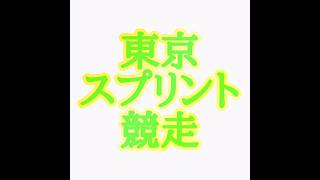 東京スプリント競走2024