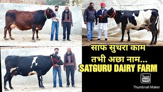 पिछले 20 सालों से श्री गंगानगर का एकमात्र टॉप HF SELLER FARM,25-35 लीटर दुध की 9 HF सस्ते दामों में