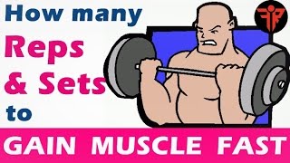 How to gain muscle fast | How many reps & sets to gain muscle | Hindi | Fitness Rockers