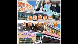 《溫哥華竟然有四十幾度?》Vlog｜姜糖報到｜Grocery Shopping