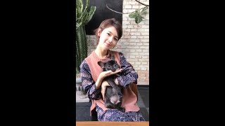 [2017.02.28] Sebrina Chen Yao Special Live (with a puppy!) | 陈瑶一直播 明星特别任务