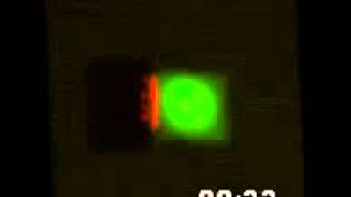 Video 1: Magnetic fluorescent nanoparticles coalesce quickly under high magnetic field stimulation