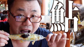 【#洞戸観光ヤナ】《後編》養殖鮎でも激ウマ！鮮度か？焼き方か？大自然の中やでヤナ！