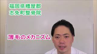 【なぜハゲるのか？】薄毛のメカニズムを知ろう！　抜け毛 育毛 頭皮環境 福岡発毛センター