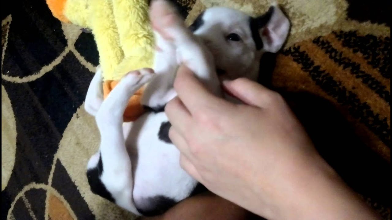 Squirt Youtube