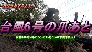 【石垣島台風一過】7月24日台風6号が過ぎ去りました・・・思いもよらない爪痕残して！