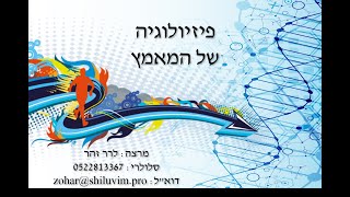 פיזיולוגיה בקורס מדריכים - חלק שני