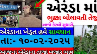 Aerda na bhav | 10-02-2025 | એરંડાના ભાવ:2025 | Information about cotton price | Commodity Trend