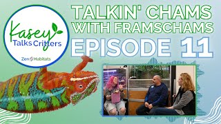 Talkin' Chameleons with FramsChams and Kasey of Zen Habitats | Kasey Talks Critters Ep 11