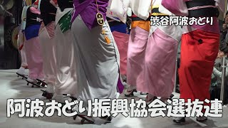 一気見、3本の組踊りで観客熱狂「阿波おどり振興協会選抜連」Awa Odori - 渋谷阿波おどり（2024.11.2）