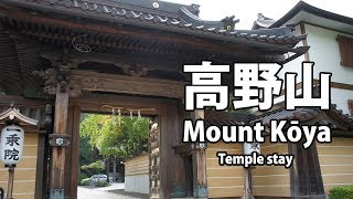 Experience Mount Kōya (高野山) Temple Stay