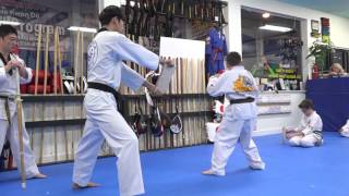 Master Shin's Tae Kwon Do 2016 Spring