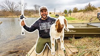 I Took My GOAT FISHING in the BACKYARD POND!!! (Dale Caught His PB)