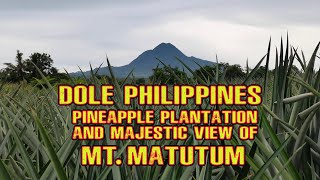 DOLE PHILIPPINES PINEAPPLE PLANTATION | MAJESTIC VIEW OF MT. MATUTUM