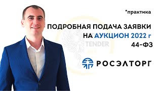 Подать заявку на электронный аукцион 44 ФЗ на РОСЭЛТОРГ ЕЭТП. ГОСЗАКУПКИ . Практика 2022 г