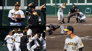 【紅白戦ハイライト】2024.2.11 今季初実戦！注目株の門別が先発登板！ミエセスがチーム第1号アーチ！前川が4安打の固め打ちで猛アピール！椎葉・山田らルーキー達も躍動！【阪神春季キャンプ】