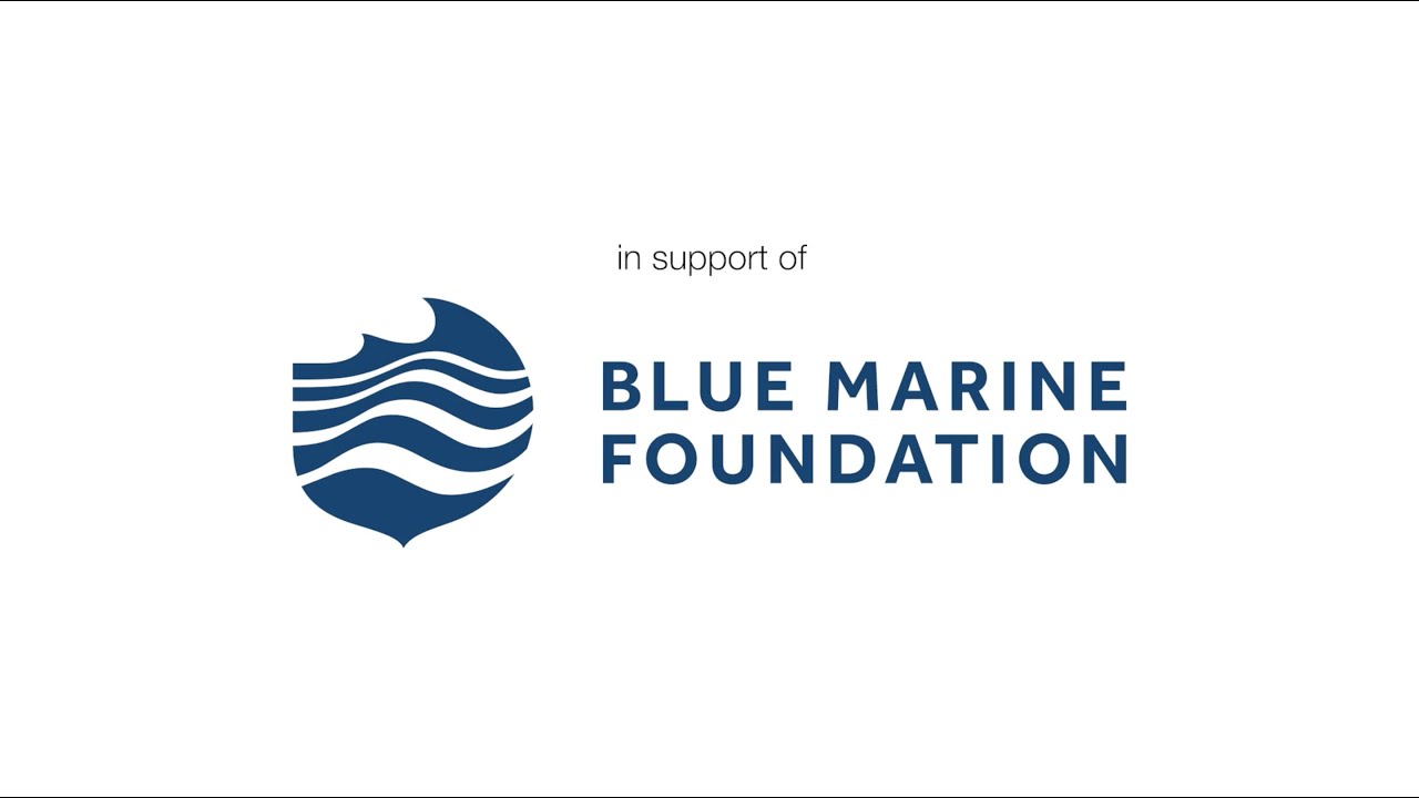 Blue Marine Foundation - YouTube