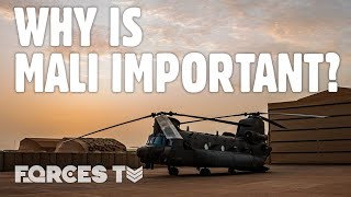 Mali: What Next For British Military Deployments In The African Country? | Forces TV