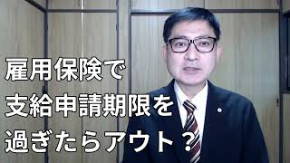 雇用保険の給付は支給申請期限を過ぎたらアウトでしょうか？「時効期間」というのがあるのに、期限を過ぎたらダメというのはおかしいという主張を受け、この辺りの扱いが是正されています。