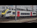 train Belge en gare de Louvain