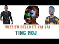 Ting Moj by Yai Yai ft Wizzito Bello