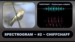SPECTROGRAM #2 CHIFFCHAFF – An aid to understanding and visualising birdsong