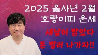 2025 양력 2월 호랑이띠 운세 이제 다시 시작이다. 기회가 왔다 달려 보자!! 사주상담  010.5571.9666 / 재물 운명 사주팔자 금전운 궁합 애정 운세