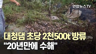 대청댐 초당 2천500t 방류…\