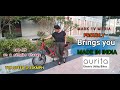 Aurita electric cargo bike