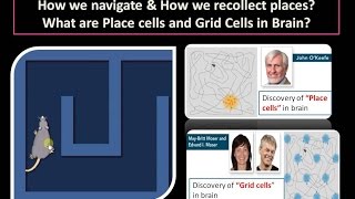 What are Place cells and Grid Cells in Brain? Nobel Prize in Physiology and Medicine 2014 explained