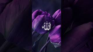 😊🤗আছি গো ডুবে আমি পাপেরি সাগরে গজল 🥺😭#islamic #gojol #video