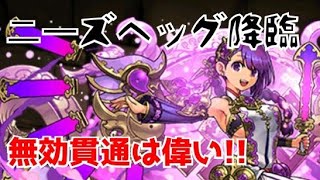 【壊滅級】ニーズヘッグ降臨 カミムスビパ【パズドラ】