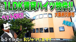 【大阪府交野市】#12 ペットOK! 1LDK 賃貸ハイツ物件【〇〇不動産のおジャマします!】【ルームツアー】【内見】