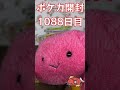 毎日ポケカ開封 1088日目 　 shorts ポケカ ポケモン 開封　 毎日ポケカ開封