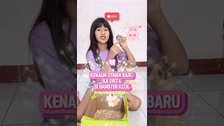 KDISTA PELIHARA HAMSTER KALIAN PUNYA PELIHARAAN?#shortviral#viralvideo#shortvideo#trending#trend