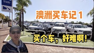 澳洲二手车价格飞涨，感觉买车靠“抢购”，早晨看的6辆车，到晚上已经卖出4辆。