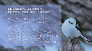 今年観察できた野鳥達（いっぱい出て来ますよ）