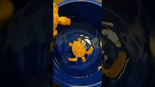 3D printed Articulated Sea Turtles